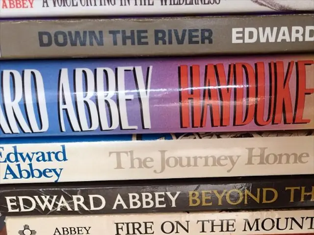 Betsson Georgia and Spinomenal join forces, enhancing Spinomenal's reach in Georgia.