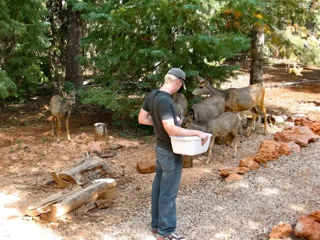 Nightlife spotlight: Big Bucks Saloon steps into the limelight