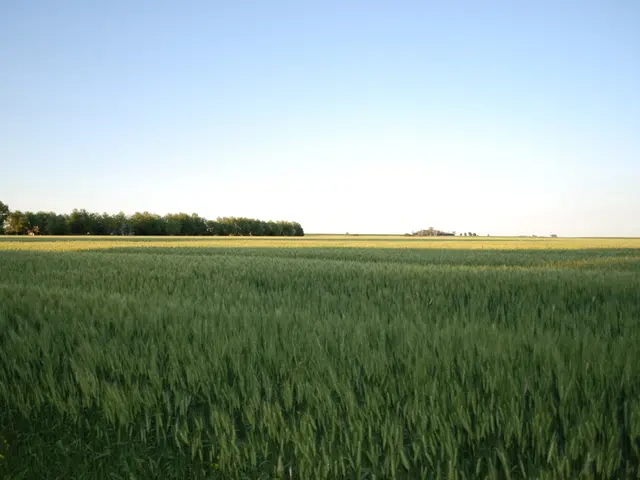 Record-Breaking Irish Lottery to Distribute Over $15 Million in the Largest Jackpot of the Year