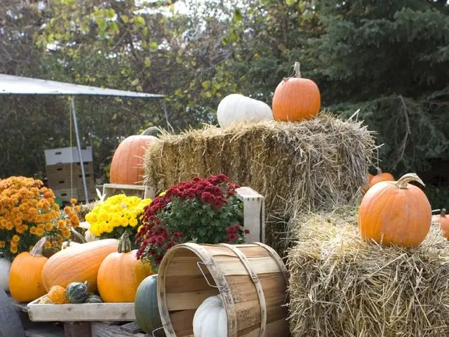 Creative Unicorn-Style Pumpkins adorned with Bat-themed Decorations